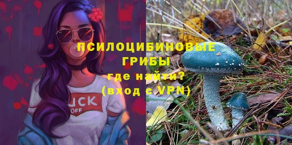 spice Киренск