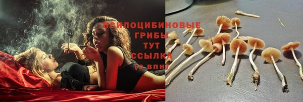 ешки Киреевск