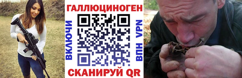Купить где  Геленджик  Псилоцибиновые грибы мицелий 
